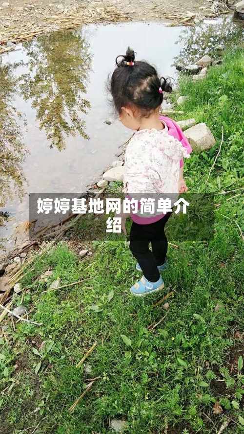 婷婷基地网的简单介绍-第2张图片