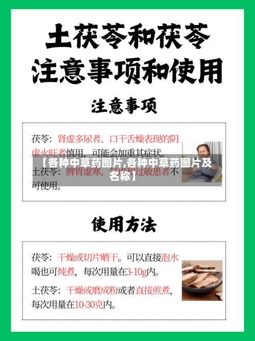 【各种中草药图片,各种中草药图片及名称】-第2张图片