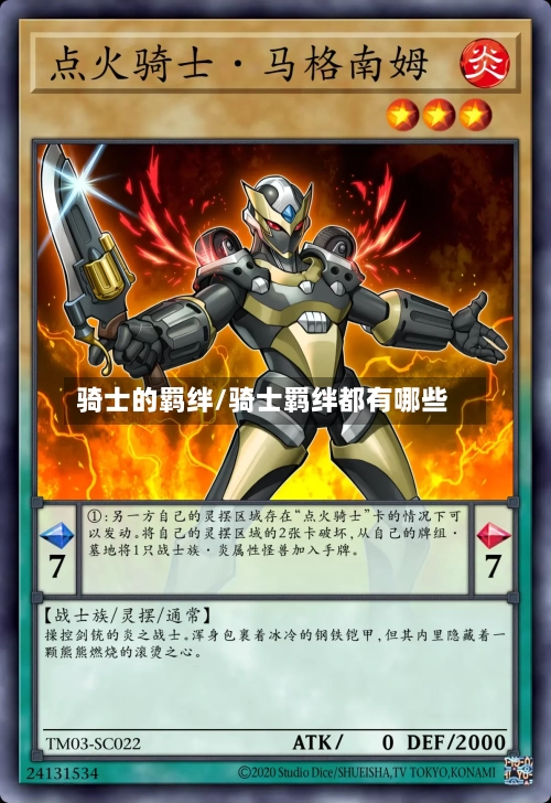 骑士的羁绊/骑士羁绊都有哪些