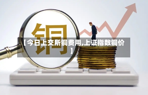 【今日上交所铜费用,上证指数铜价】-第2张图片