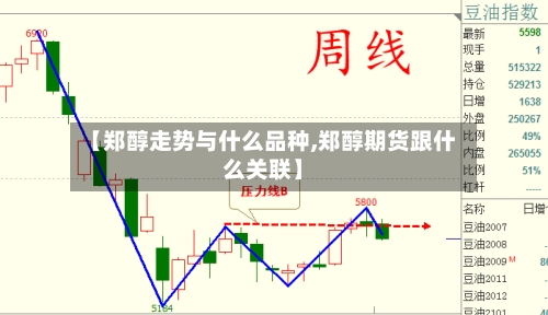 【郑醇走势与什么品种,郑醇期货跟什么关联】
