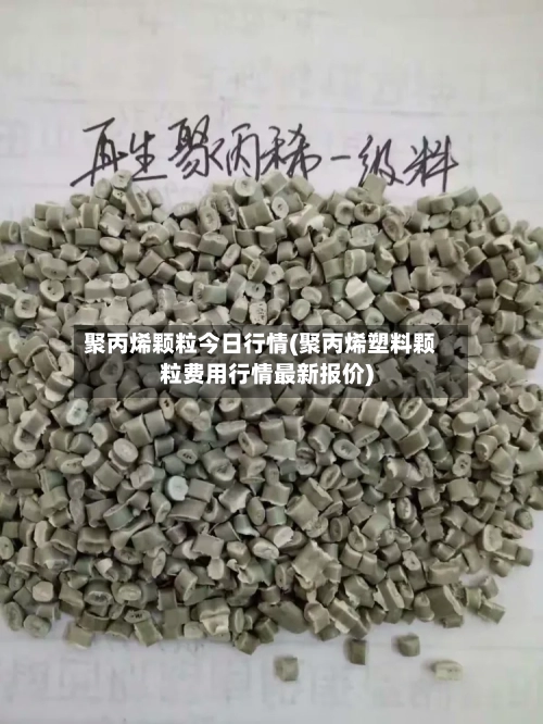 聚丙烯颗粒今日行情(聚丙烯塑料颗粒费用行情最新报价)