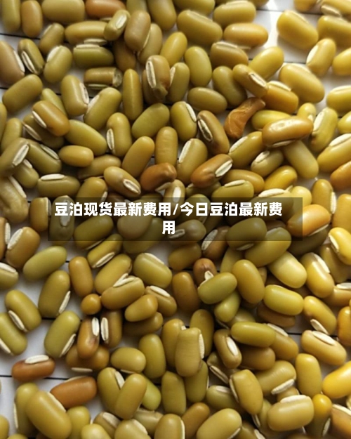 豆泊现货最新费用/今日豆泊最新费用