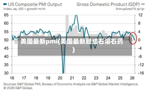 美国最新pmi(美国最新胆结石溶石药)-第2张图片