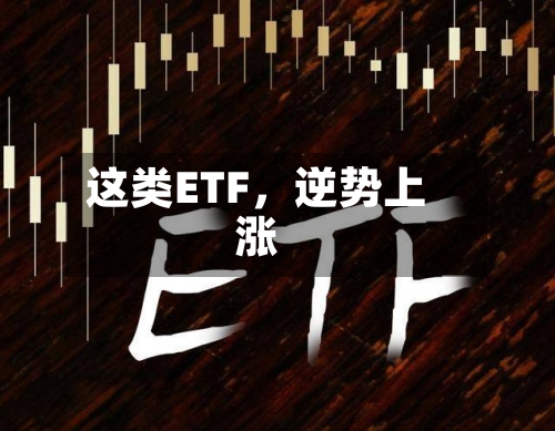 这类ETF,逆势上涨
