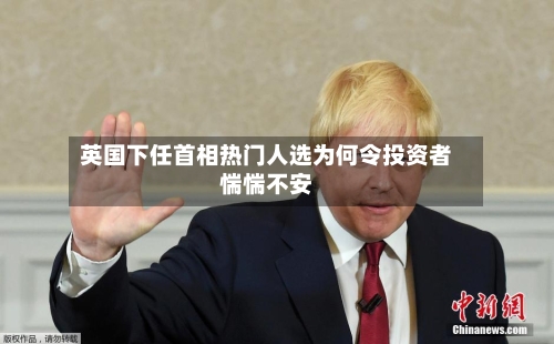 英国下任首相热门人选为何令投资者惴惴不安-第2张图片