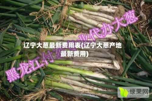 辽宁大葱最新费用表(辽宁大葱产地最新费用)