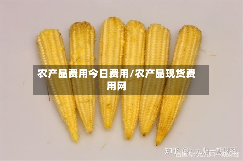 农产品费用今日费用/农产品现货费用网