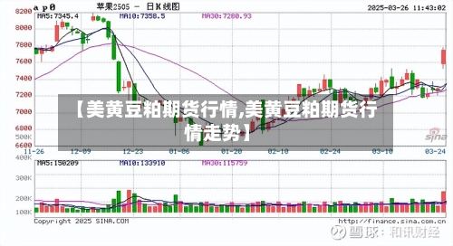 【美黄豆粕期货行情,美黄豆粕期货行情走势】-第1张图片