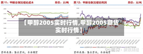 【甲醇2005实时行情,甲醇2005期货实时行情】