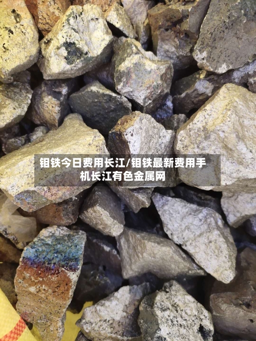 钼铁今日费用长江/钼铁最新费用手机长江有色金属网-第3张图片