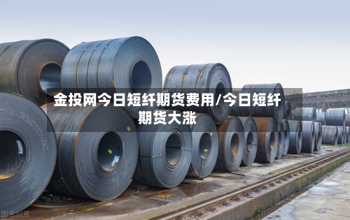 金投网今日短纤期货费用/今日短纤期货大涨