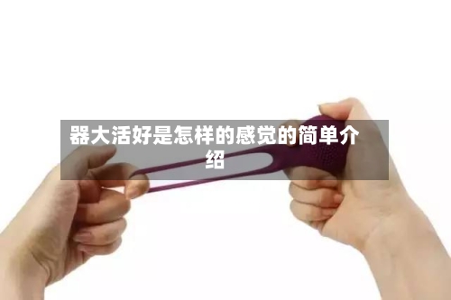 器大活好是怎样的感觉的简单介绍