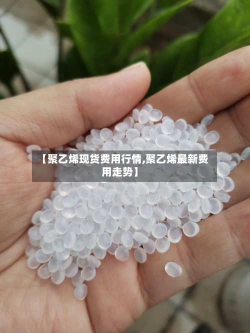 【聚乙烯现货费用行情,聚乙烯最新费用走势】-第2张图片